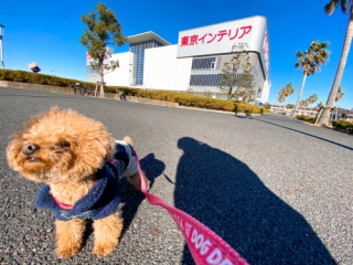 東京インテリア幕張