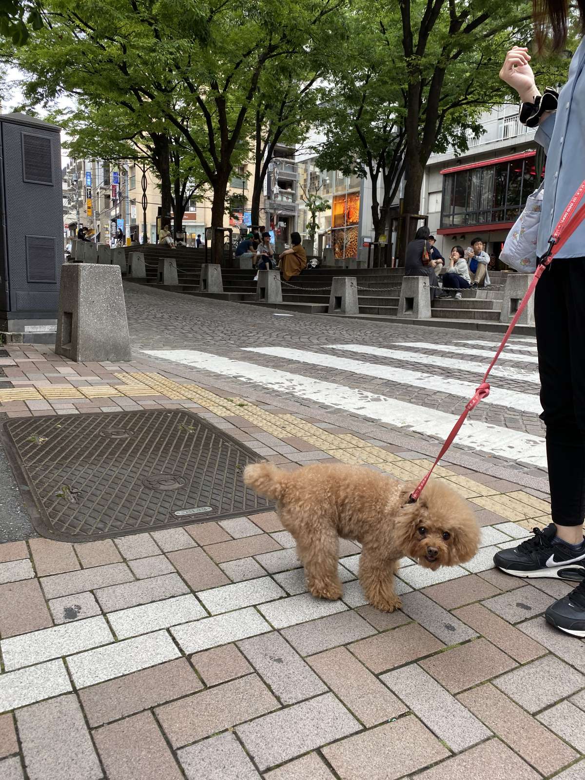 麻布十番の公園で休憩する人たち