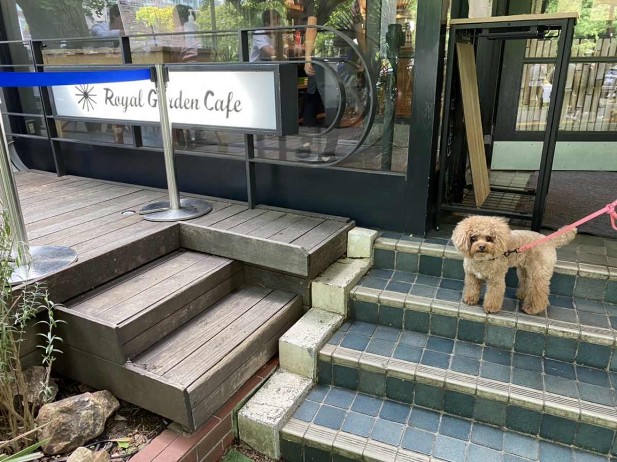 犬と一緒にロイヤルガーデンカフェ青山、ワンちゃん連れ用のエントランス