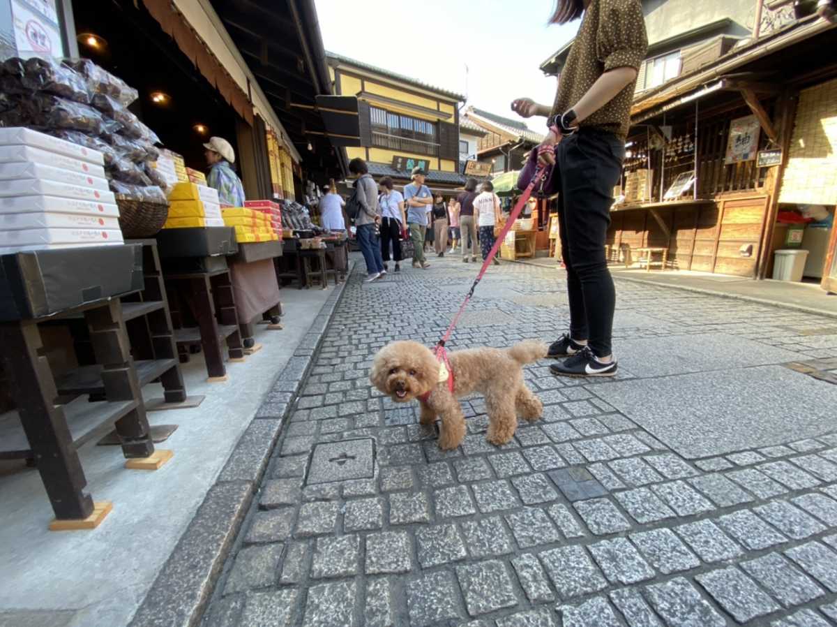 川越の菓子屋横丁を愛犬と