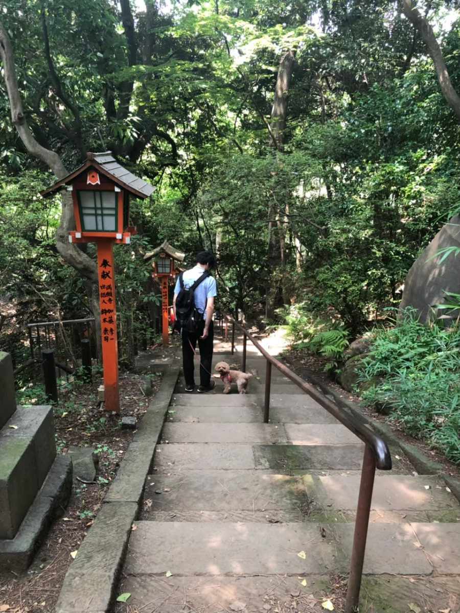 等々力渓谷公園の風景