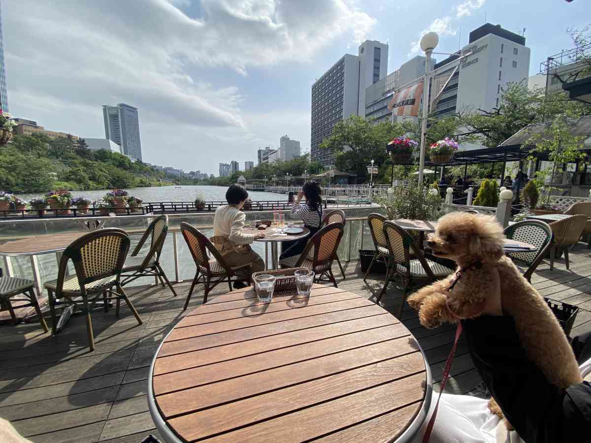 神楽坂・飯田橋のカナルカフェのテラス席からの景観