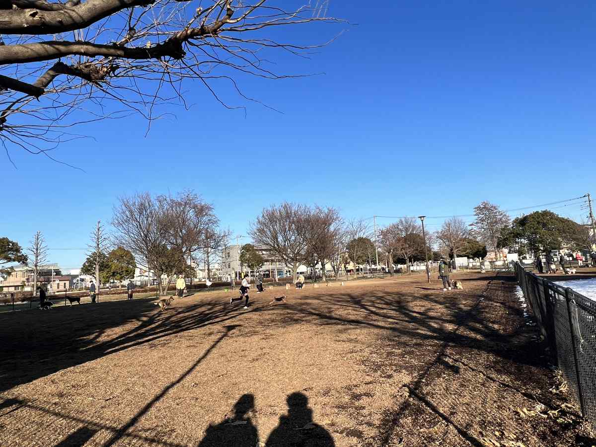 篠崎公園のドッグラン